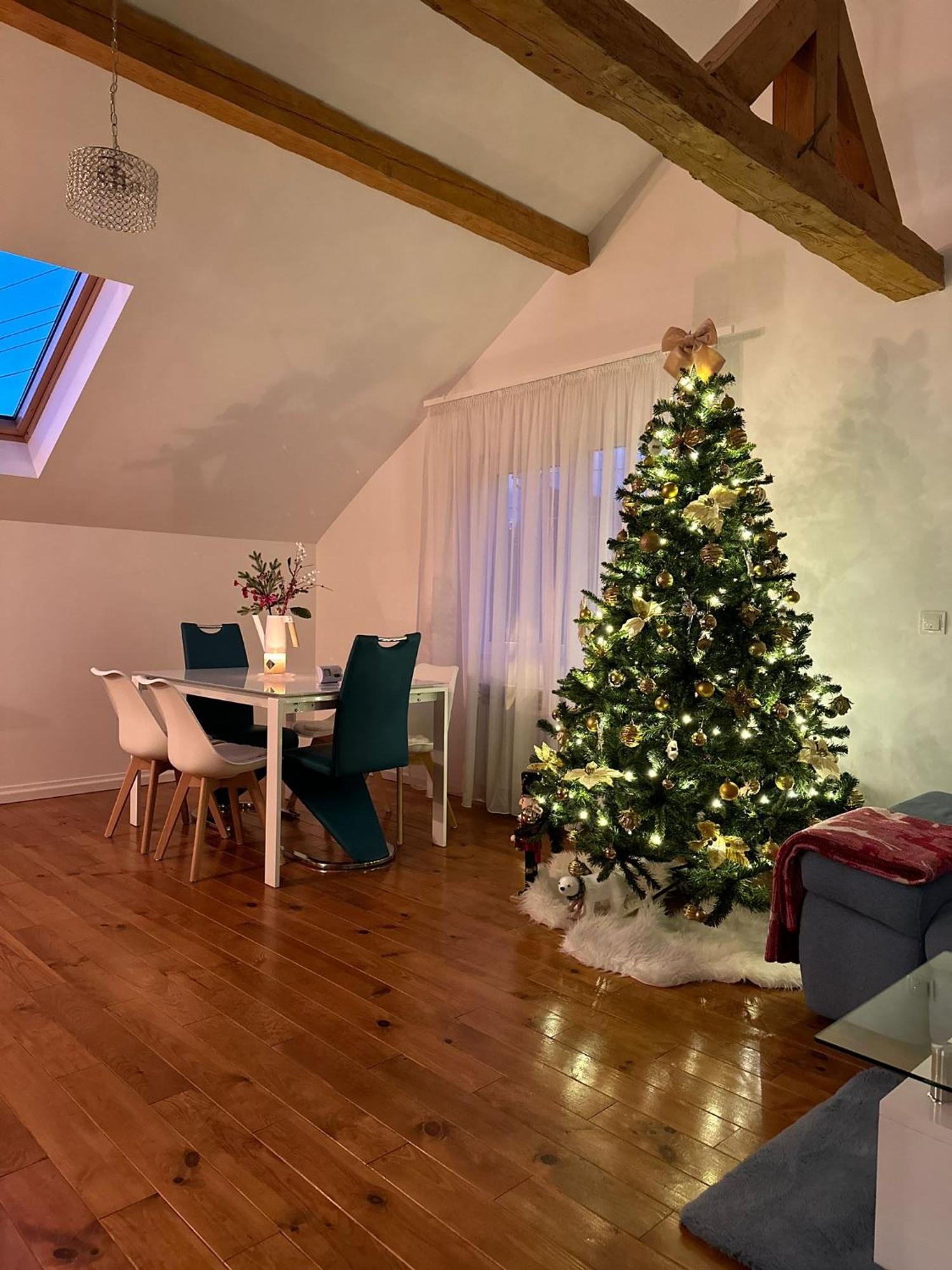 شقة Attic 33 Câmpulung Moldovenesc المظهر الخارجي الصورة